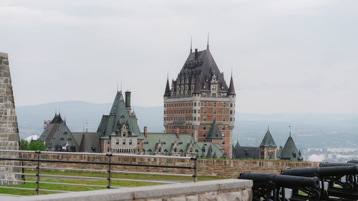 Pet-Friendly Hotels in Québec City: Compare Actual Fees and Pet Rules