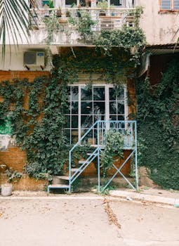 A quaint urban building covered in ivy with a rustic staircase and balcony, perfect for city architecture themes.