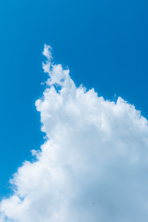 Free Fluffy white cloud contrasts with the clear blue sky, creating a serene summer scene. Stock Photo