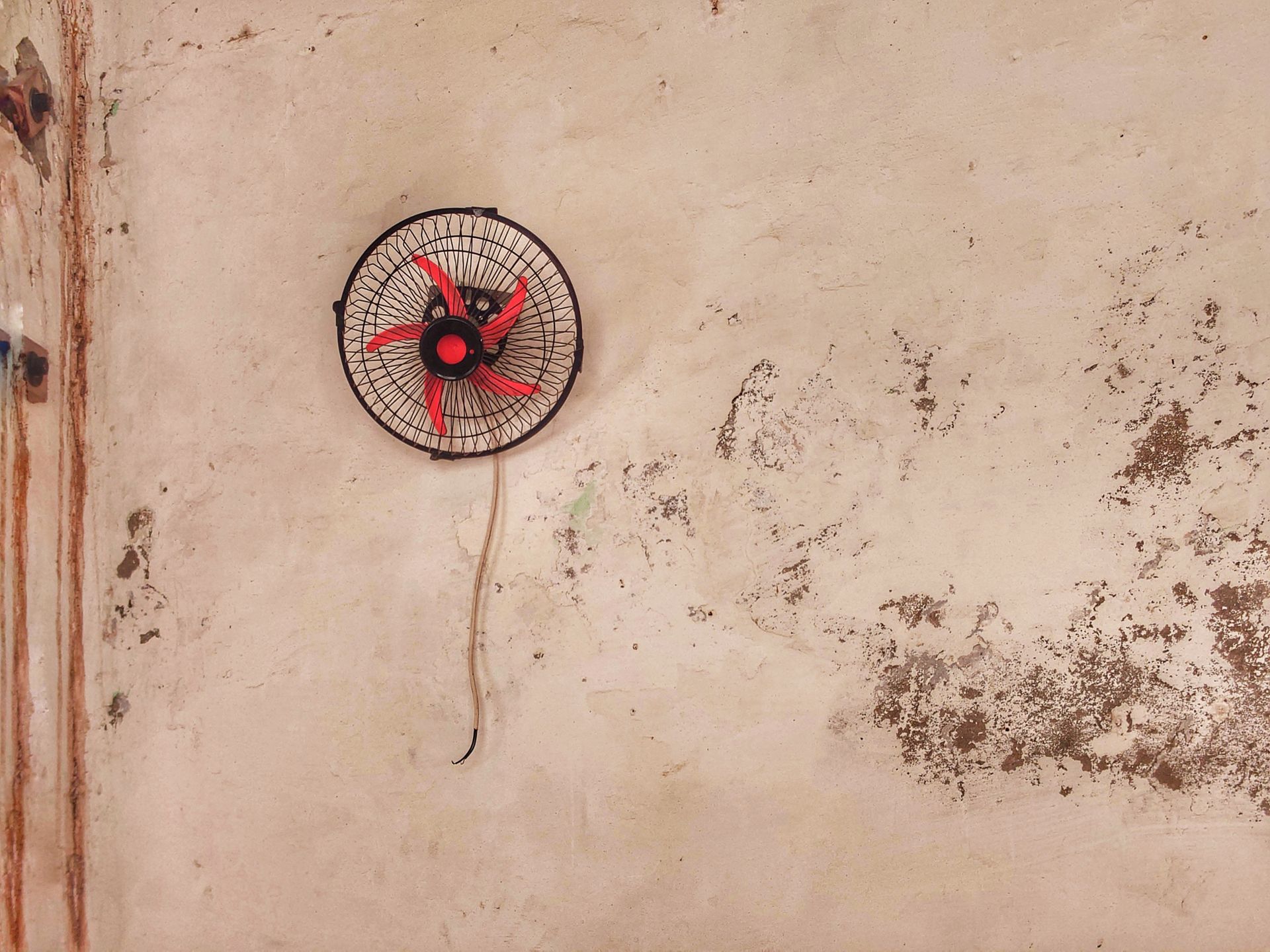 A vintage red-bladed electric fan on a textured, rustic wall adds charm to the scene.