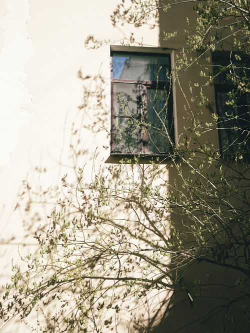 Free Sunlit window with branch shadows creates a serene outdoor scene. Stock Photo
