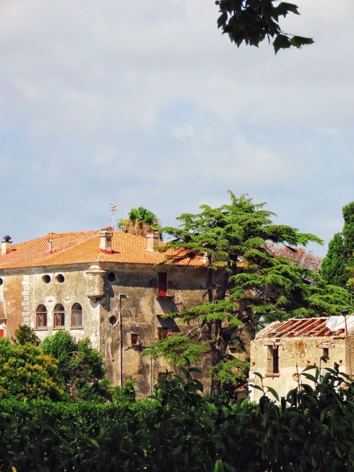 Free Charming old house with red tile roof surrounded by lush vegetation and clear sky. Stock Photo