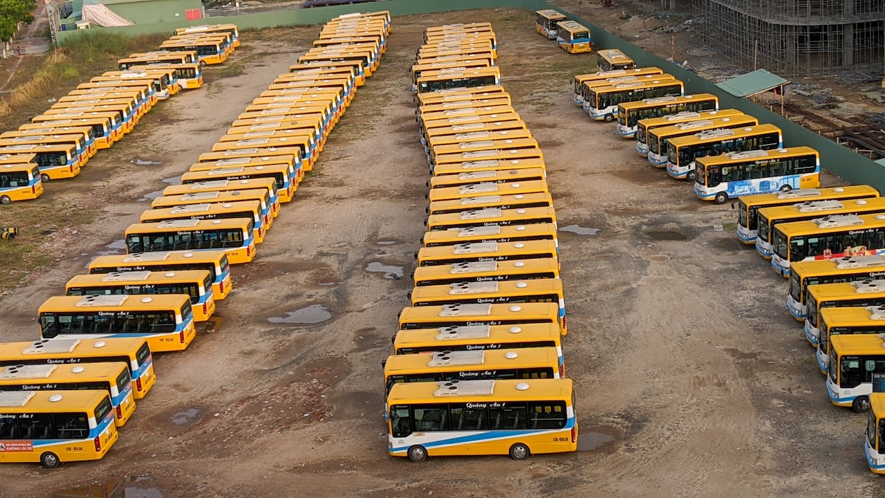 Dấu răng của thời gian