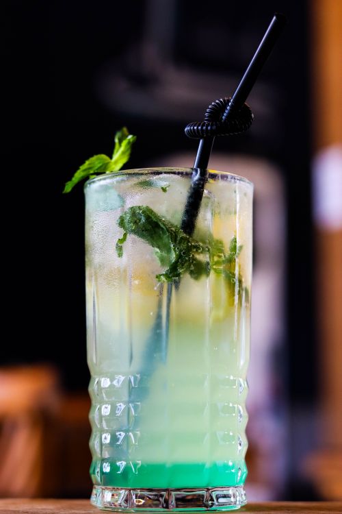 Free Chilled mint mojito cocktail with fresh lime and mint leaves in a glass. Stock Photo