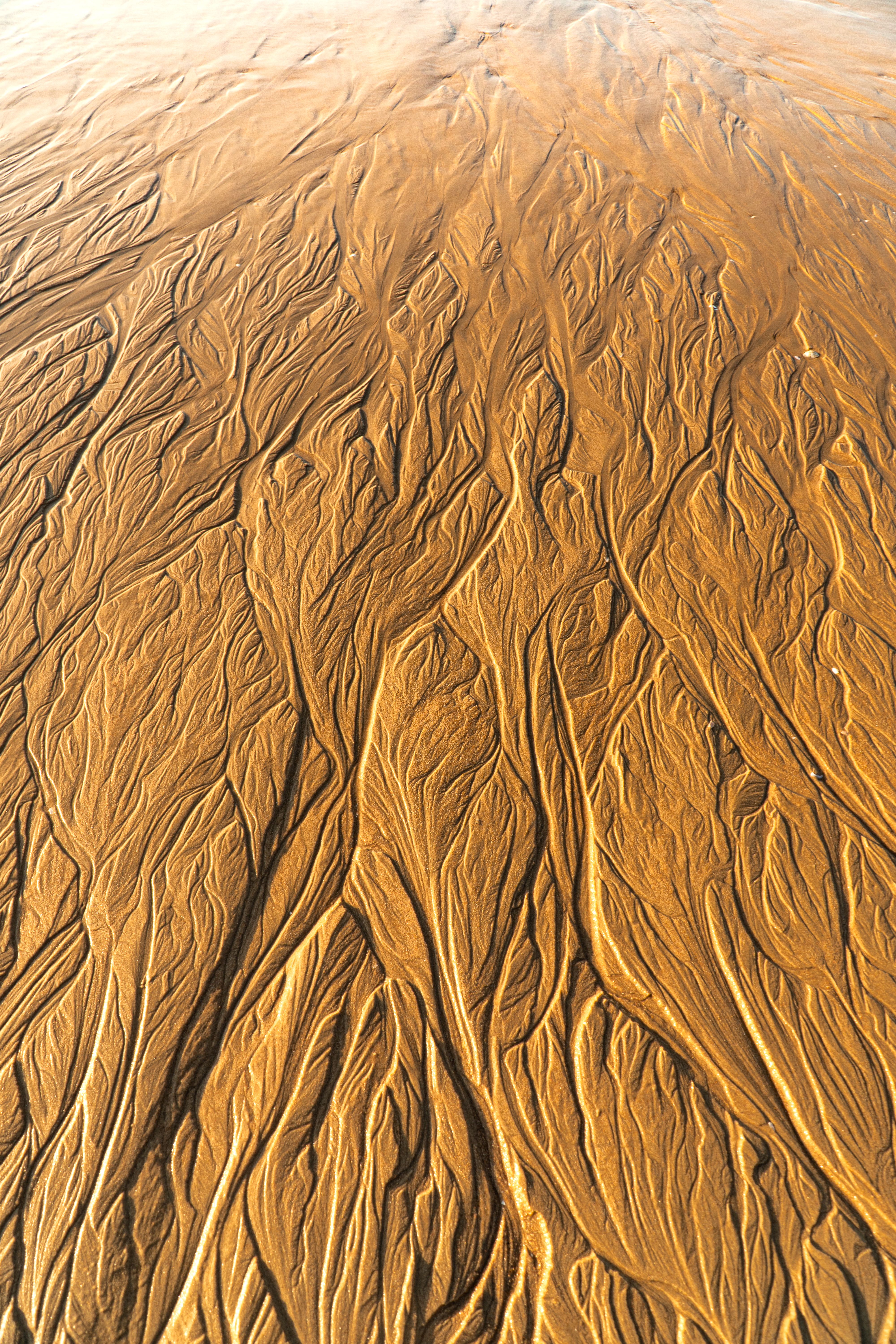 Intricate Sand Patterns on Vietnamese Beach · Free Stock Photo