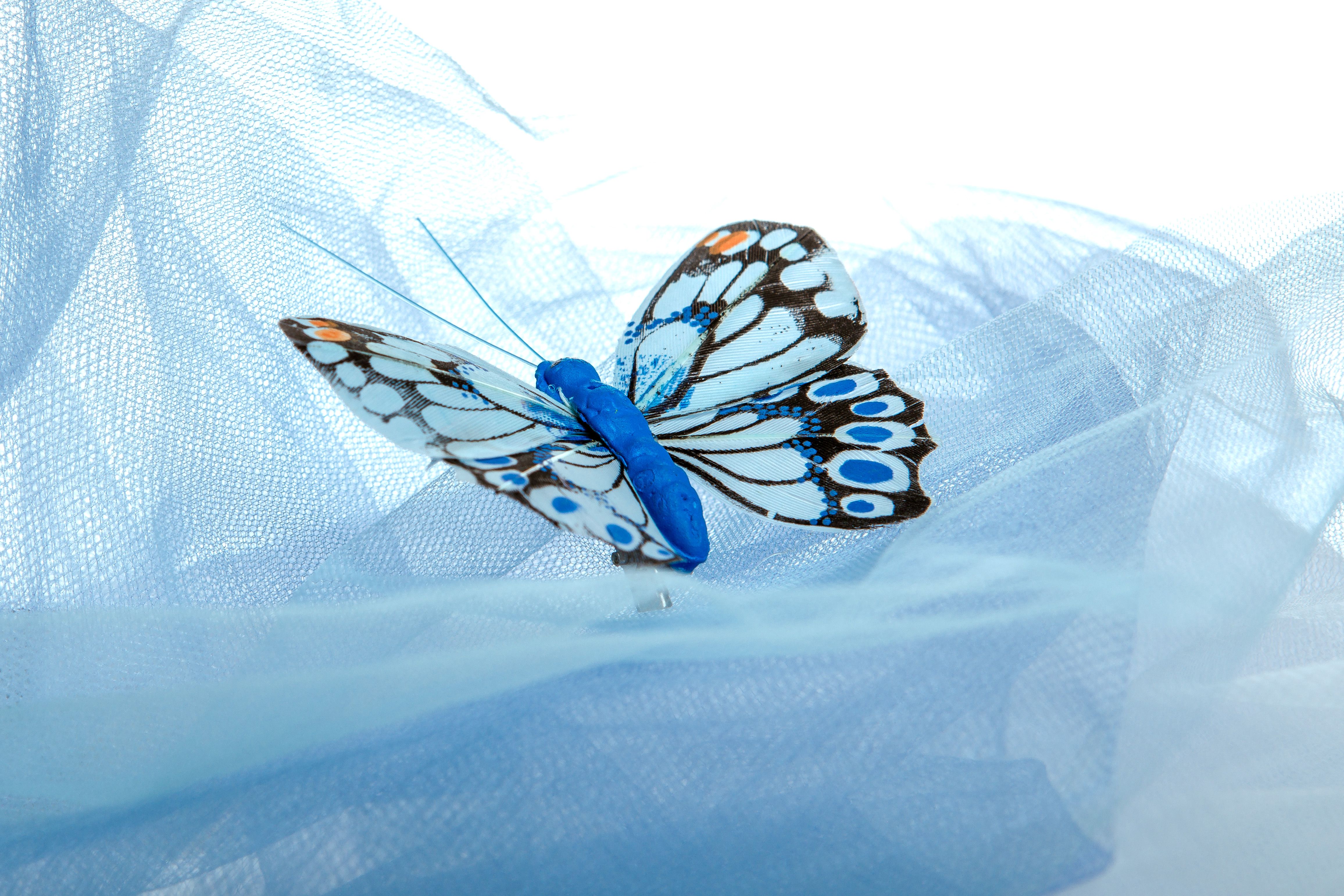 Elegant blue butterfly resting on delicate light blue fabric, showcasing natural beauty and grace.