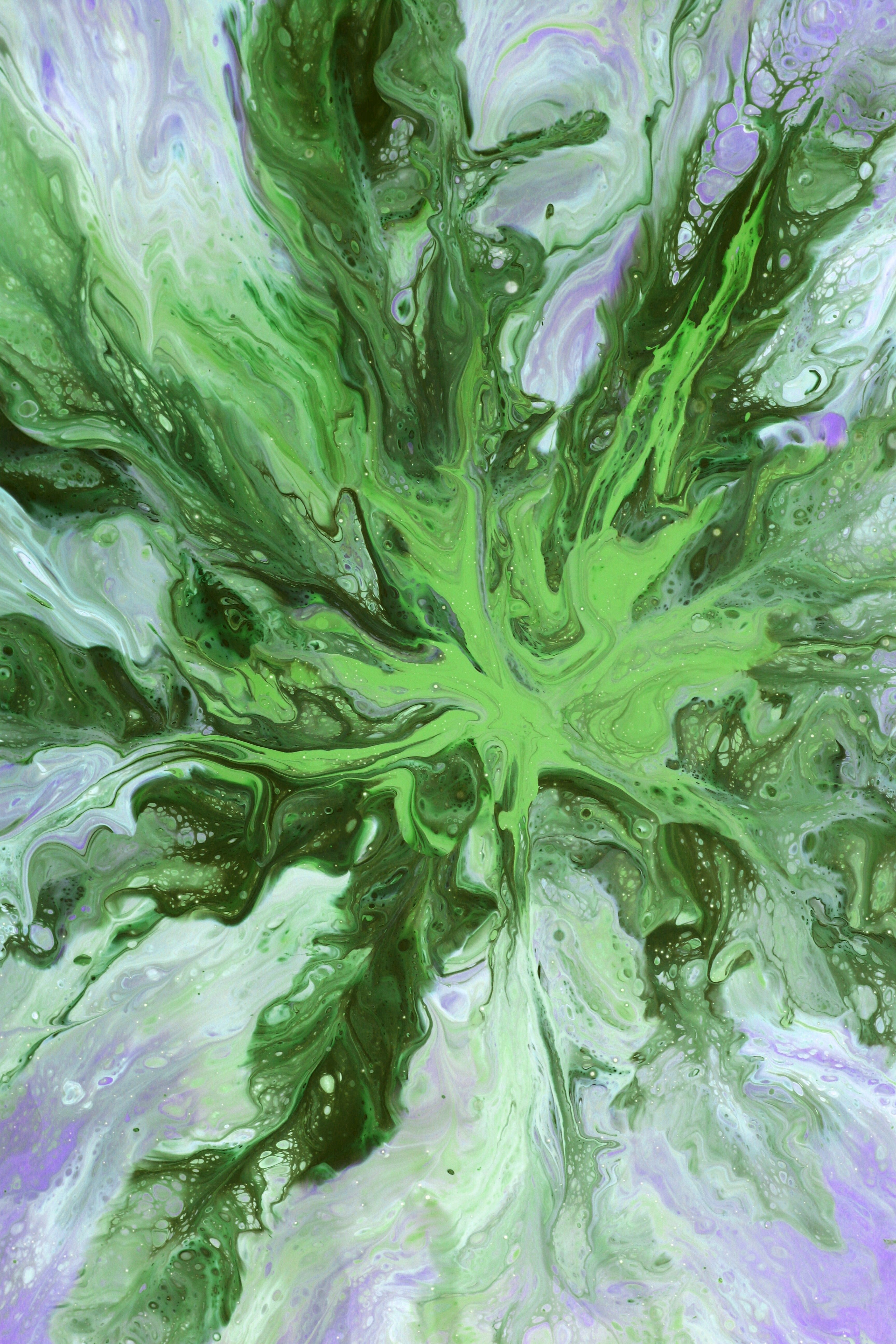 Abstract Green and Purple Fluid Art Design · Free Stock Photo