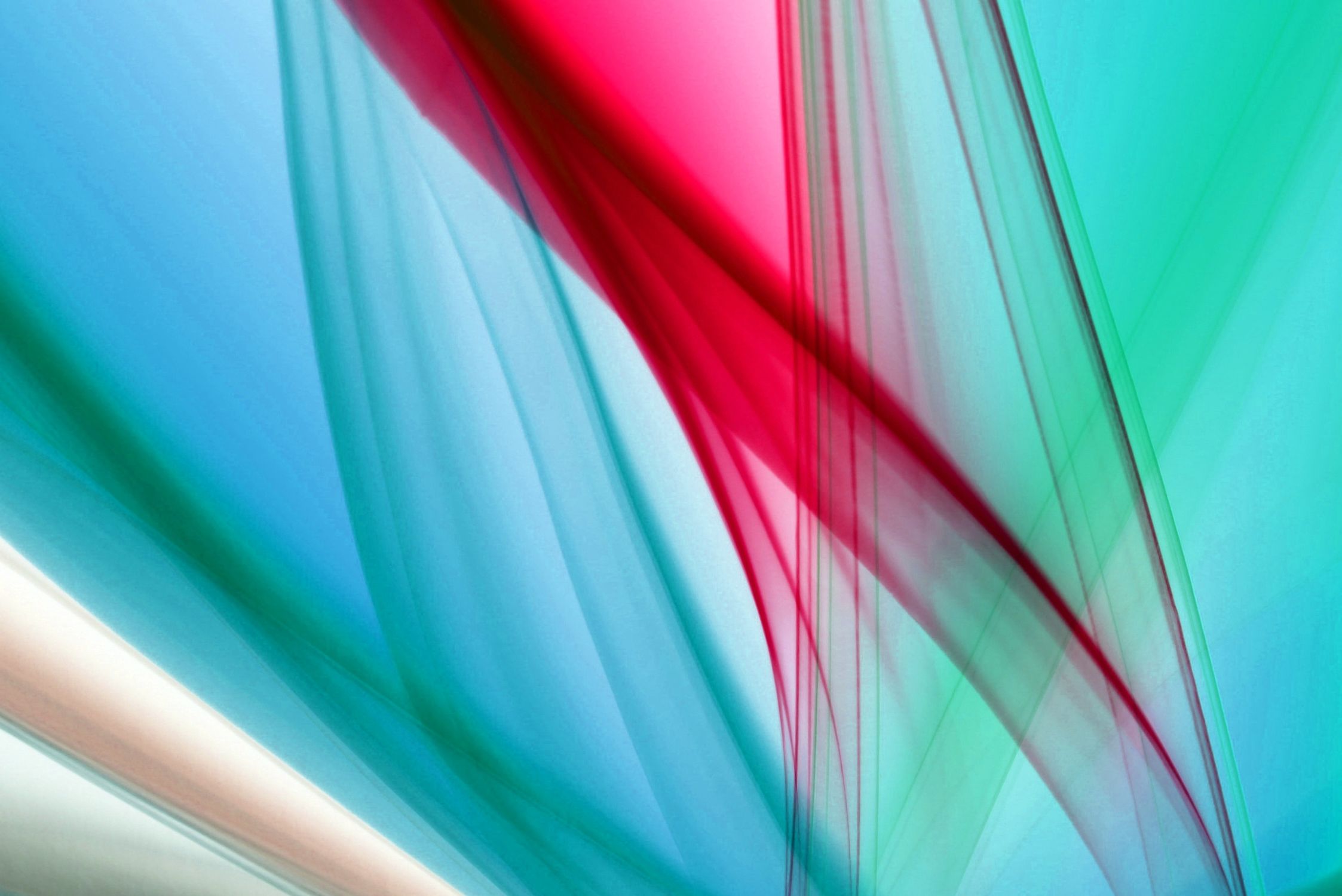 Two Color Dynamic Vibrant Abstract Colors with Dynamic Shapes · Free Stock Photo