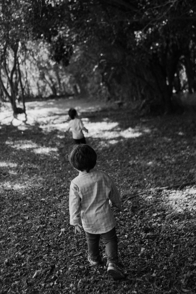 Children exploring a sunlit forest path