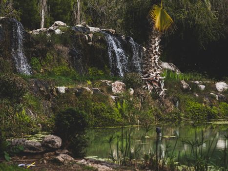 Baum & Wasserfall in der Natur – Dramatisches Landschaftsfoto