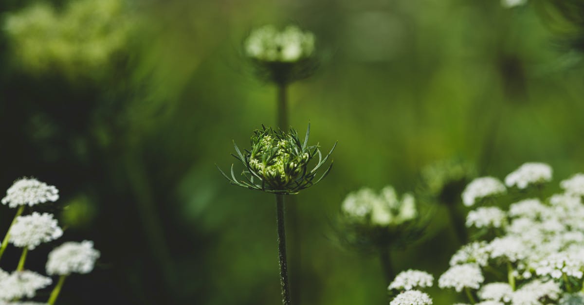 國際法院劃時代法律意見 各國必須行動避免全球暖化