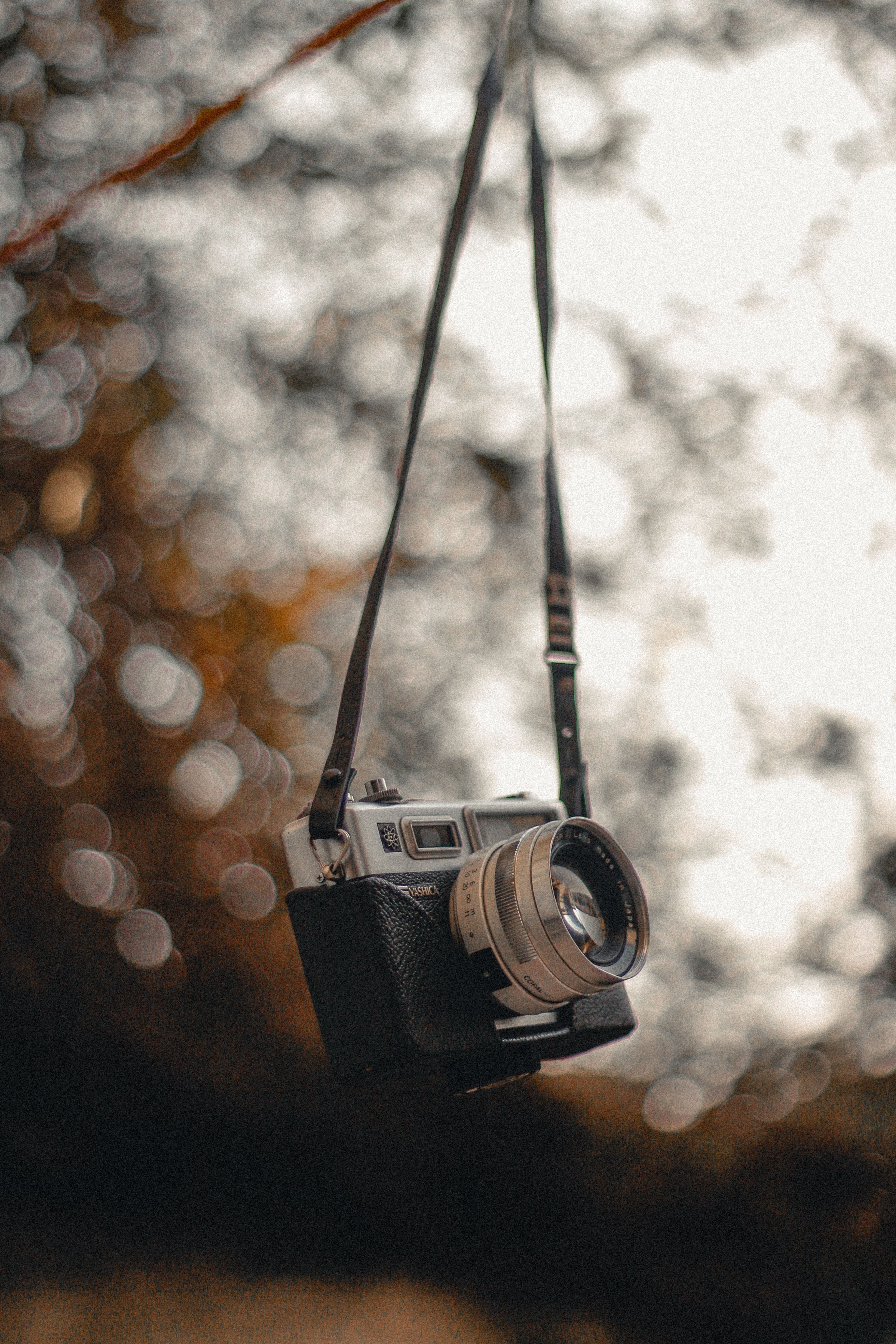 Vintage Camera Hanging Amid Soft Bokeh Outdoors · Free Stock Photo