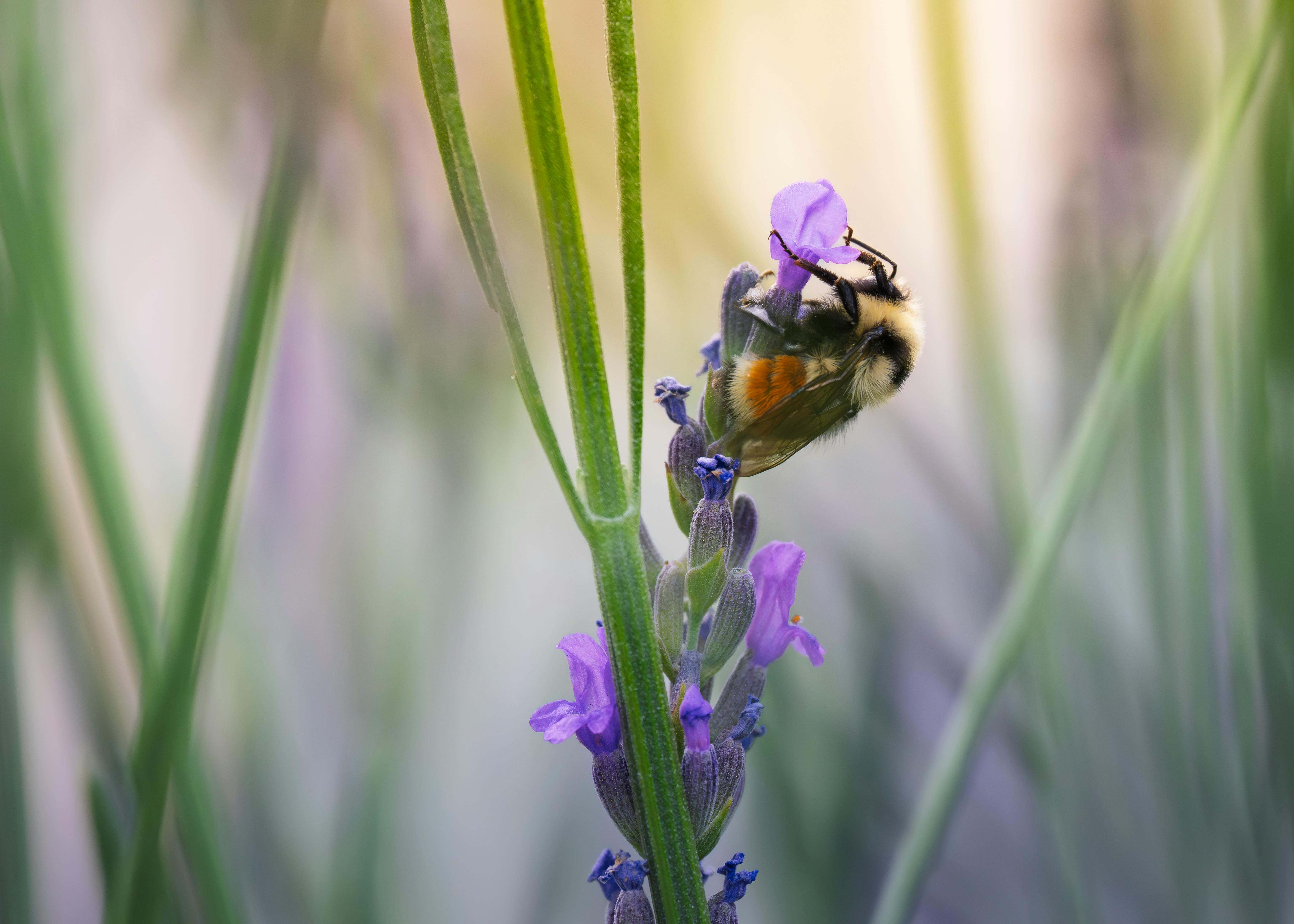 11 Buzzy Wellness Brands That Deserve All the Hype — Photo by Frank Cone on Pexels