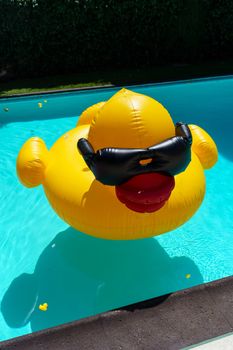 A large inflatable duck with sunglasses floats in a bright blue pool on a sunny day.