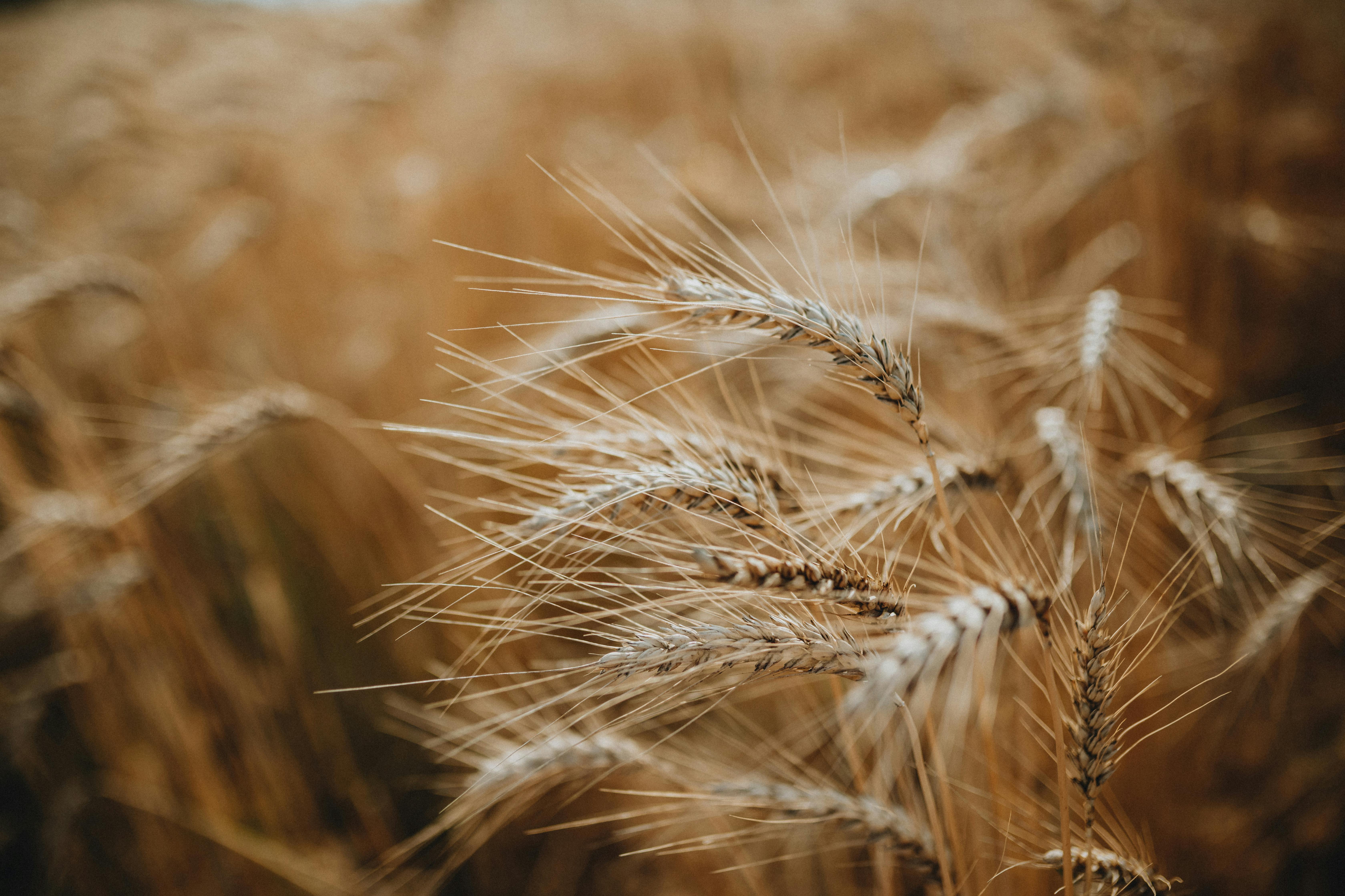 Revolutionary Time Saving Strategies to Maximize Productivity