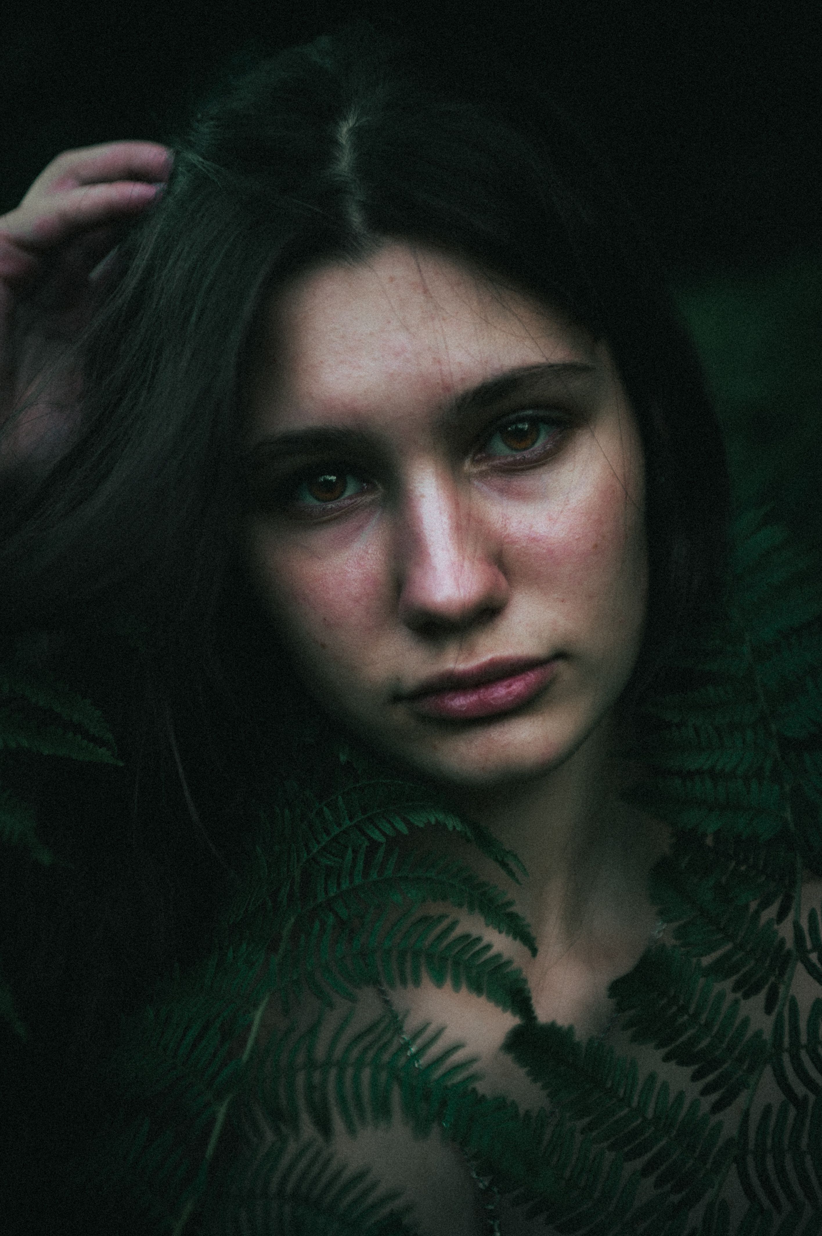 Ivy
