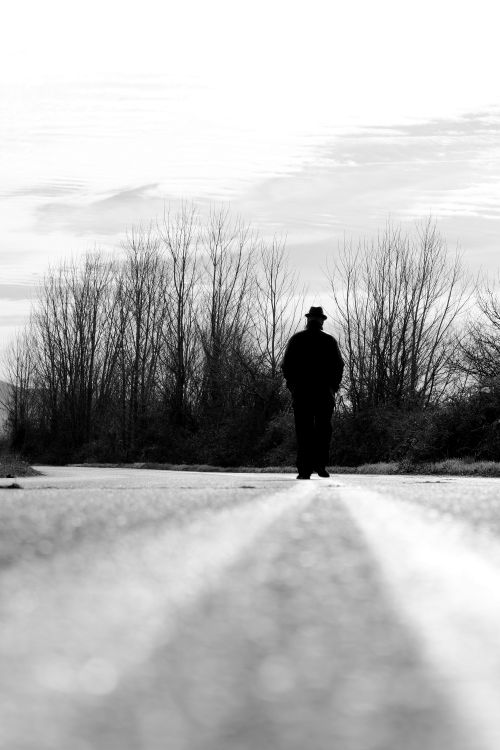 Free Silhouette of a person walking on an empty road, surrounded by bare trees. Stock Photo