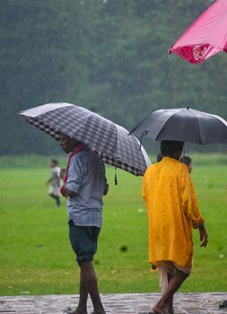 A rainy day with people strolling under umbrellas in a green park setting.
