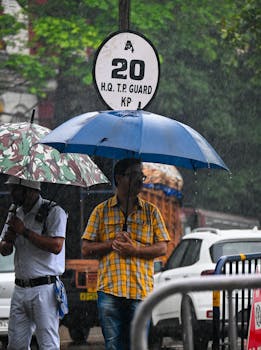 People with umbrellas under rain near urban signage on a busy street scene.