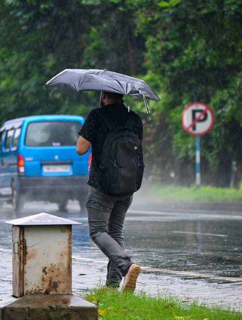 Free A person walking on a rainy day with an umbrella and a backpack, next to a road. Stock Photo