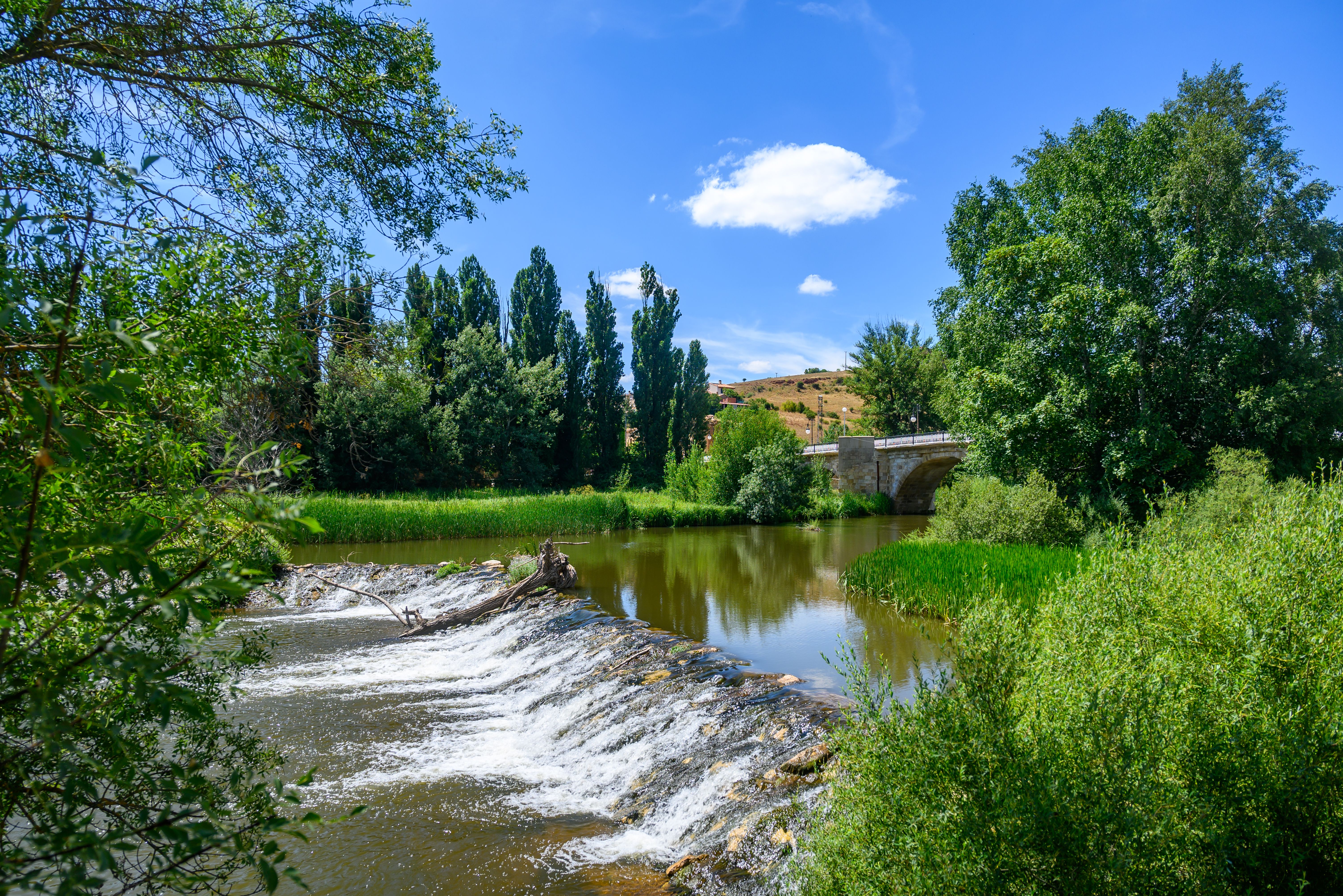 Quiet river scene with lush greenery and a stone bridge on a sunny day in Soria, Spain.