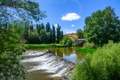 Free Quiet river scene with lush greenery and a stone bridge on a sunny day in Soria, Spain. Stock Photo