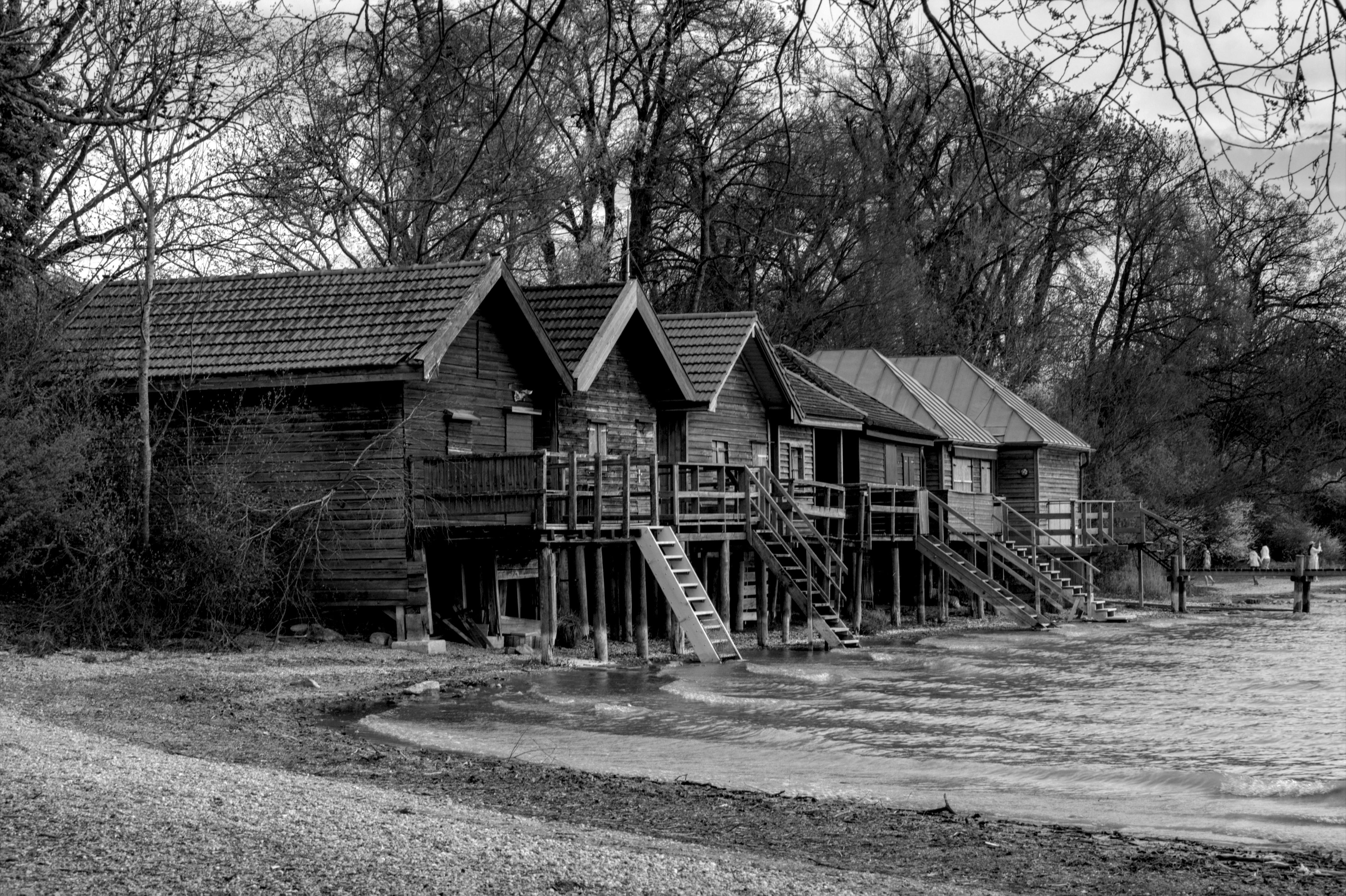 Black and white photo of rustic lakeside cabins amidst trees, captured in serene setting.