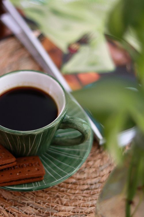 Free Green ceramic cup of coffee with chocolate biscuits, fashion magazine, and plant on a woven mat. Stock Photo