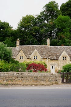 Image by Merve Orhan