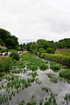 Image by Merve Orhan