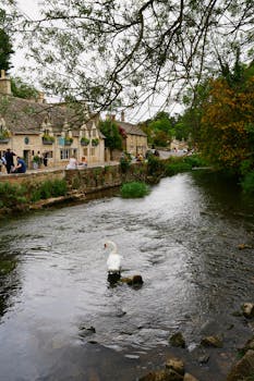 Image by Merve Orhan