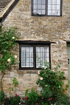 Image by Merve Orhan