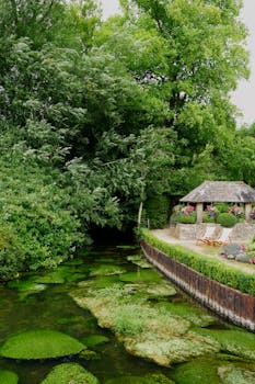 Image by Merve Orhan