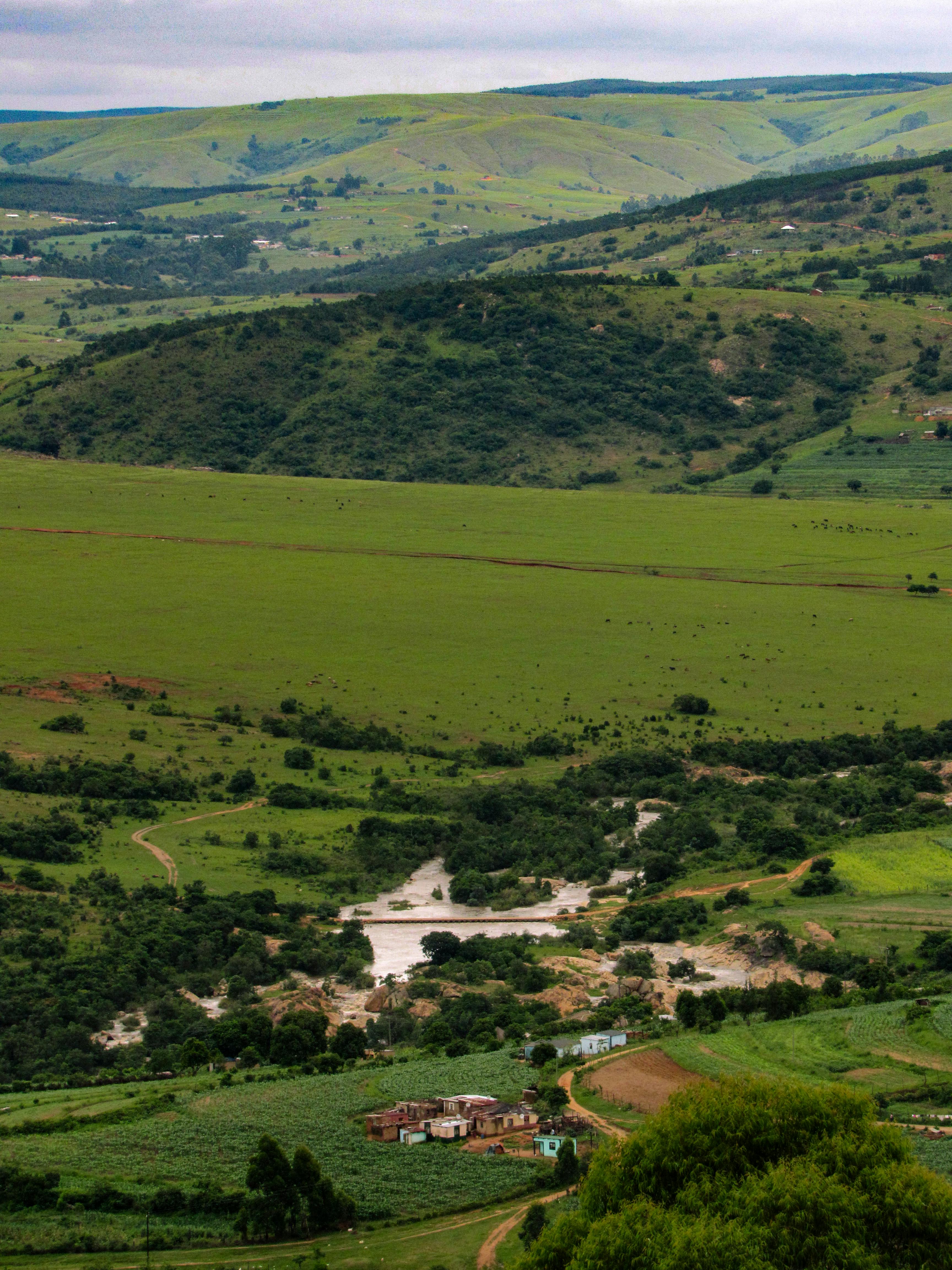Detaillierte Aufstellungen der Teilnehmer: Al-Nassr FC vs Inter Miami – Wer startet heute?