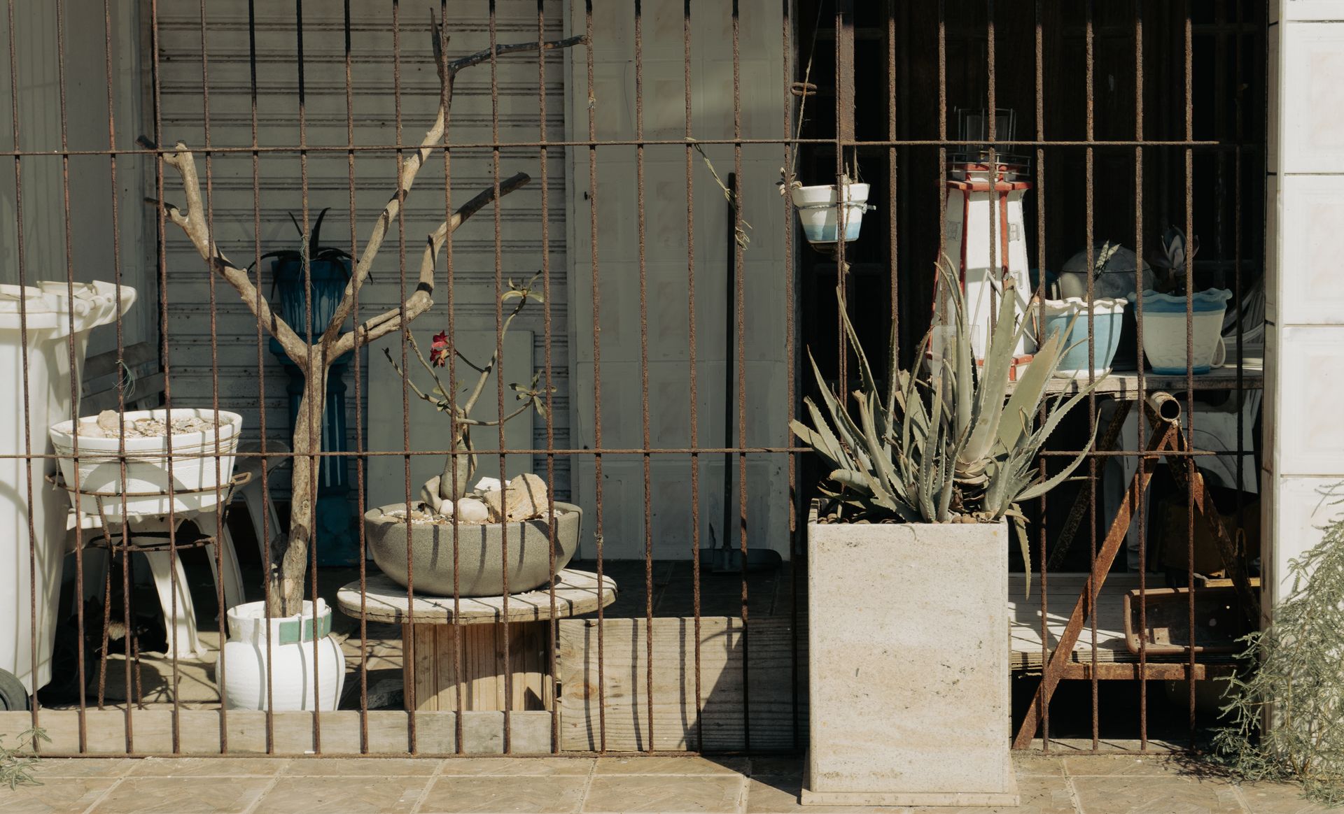 A rustic arrangement of potted plants behind a metal fence, creating a serene yet gritty outdoor aesthetic.