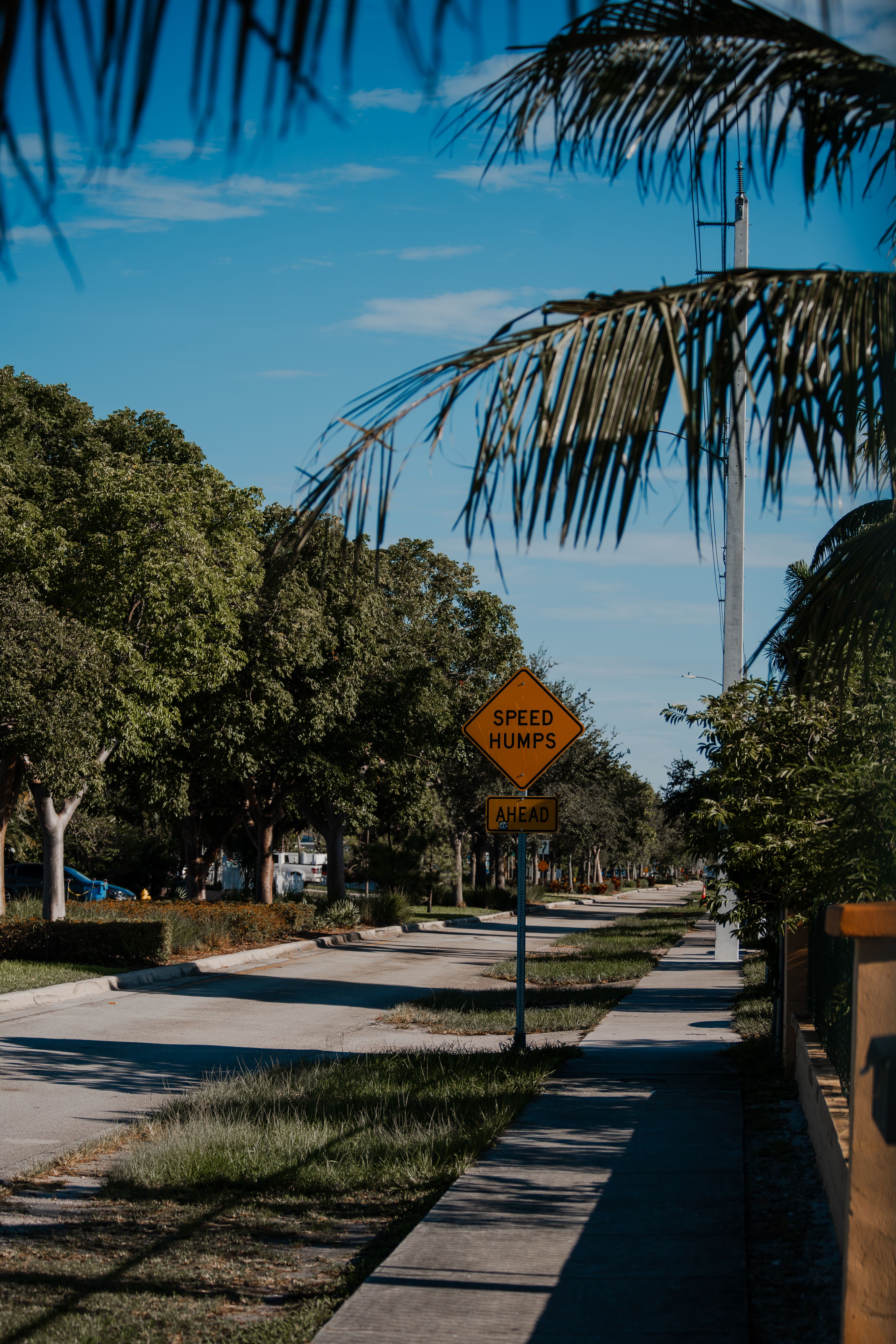 Tree-lined suburban street with speed humps sign · Free Stock Photo
