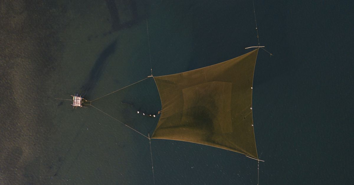View Net Aerial View of Traditional Fishing Net in Vietnam · Free Stock Photo