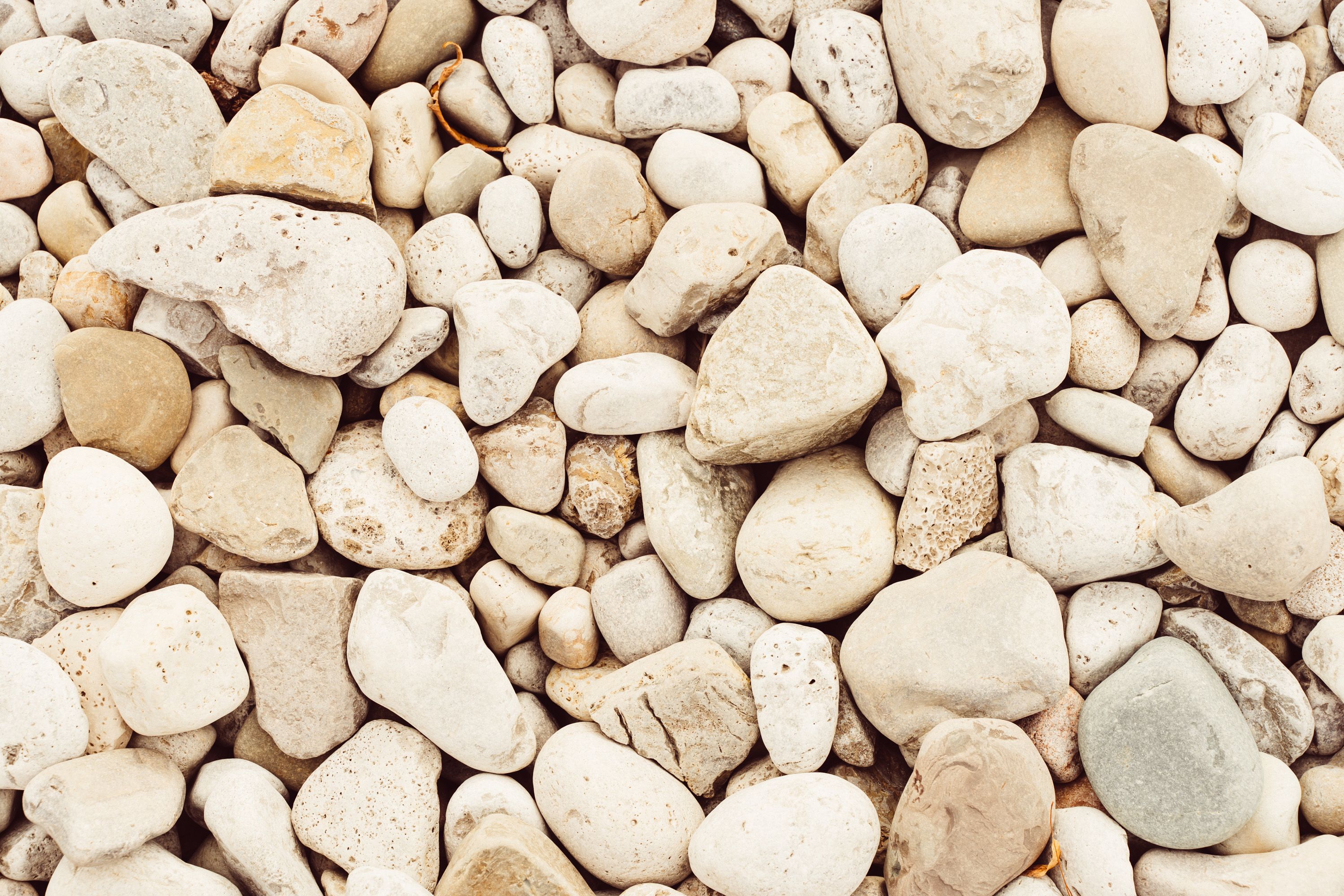 kidney stones