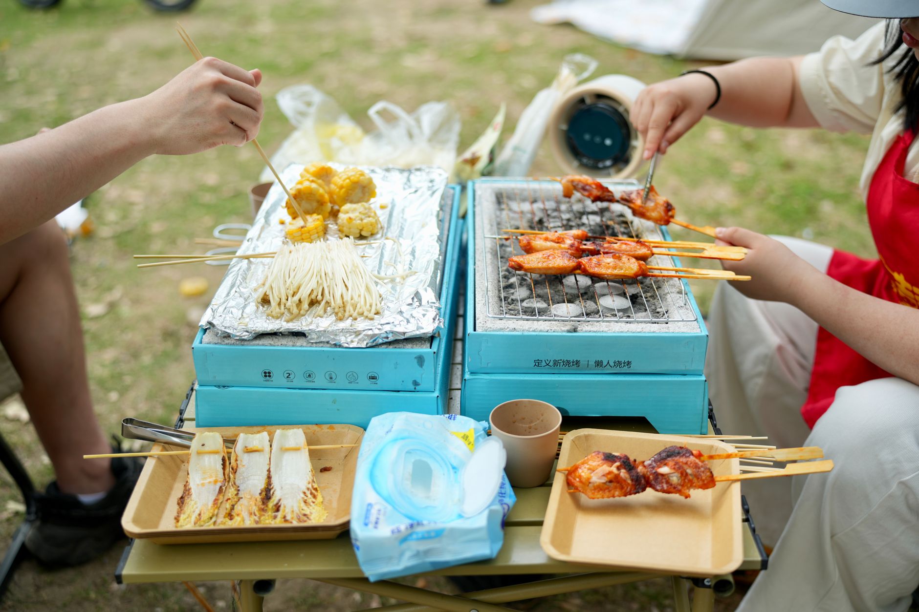 Best Portable Grills of 2026: Gas, Charcoal & Ceramic
