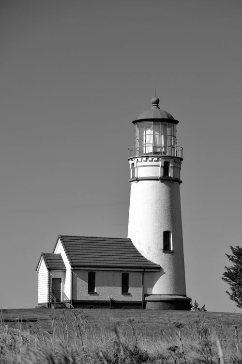 Free A serene black and white photograph of a classic lighthouse on a clear day in Oregon, USA. Stock Photo