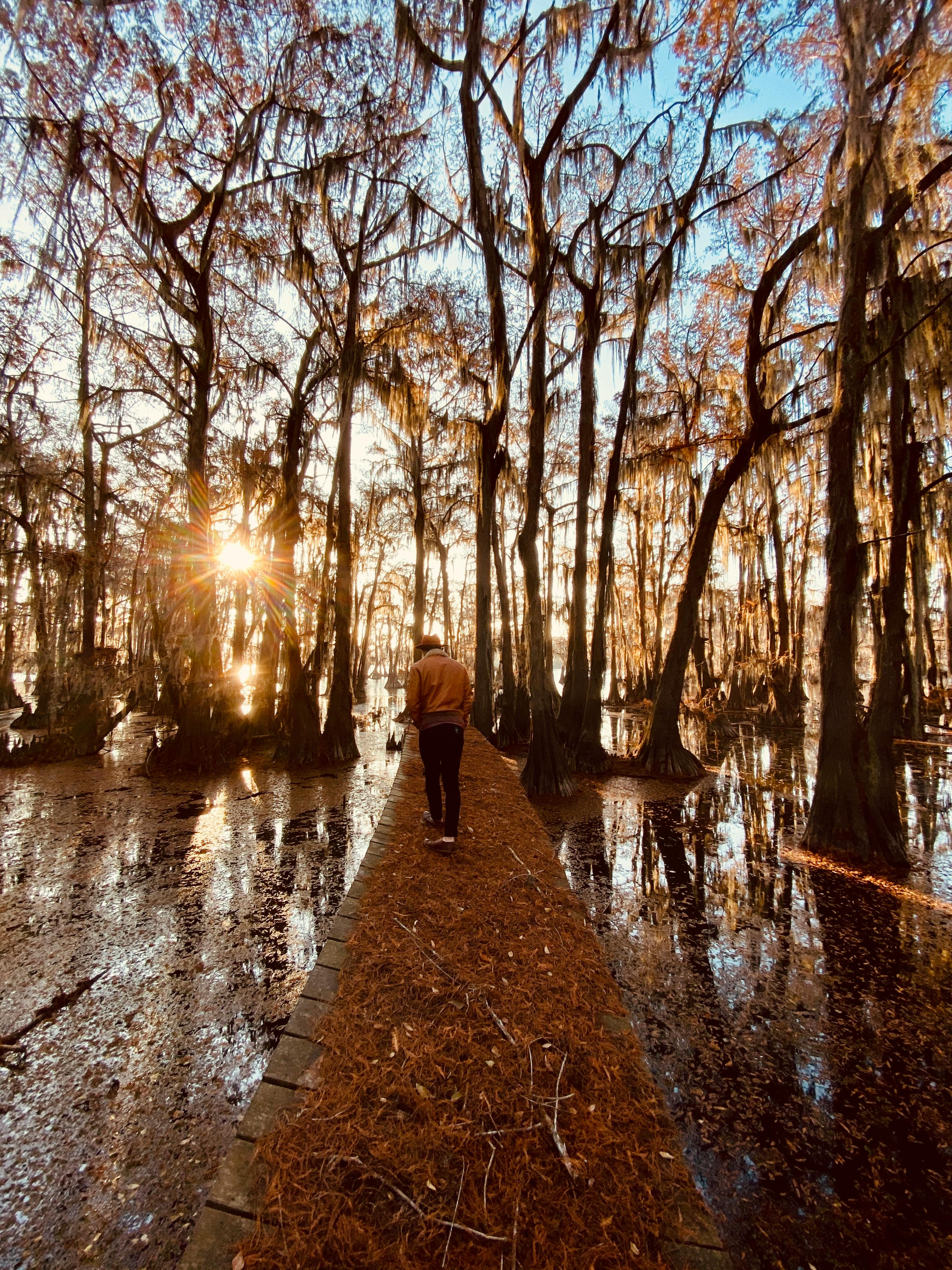 在阳光明媚的德克萨斯州卡纳克秋景中平静漫步