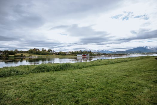 Tranquil view of a Norwegian fjord with distant mountains and lush greenery under a cloudy sky.