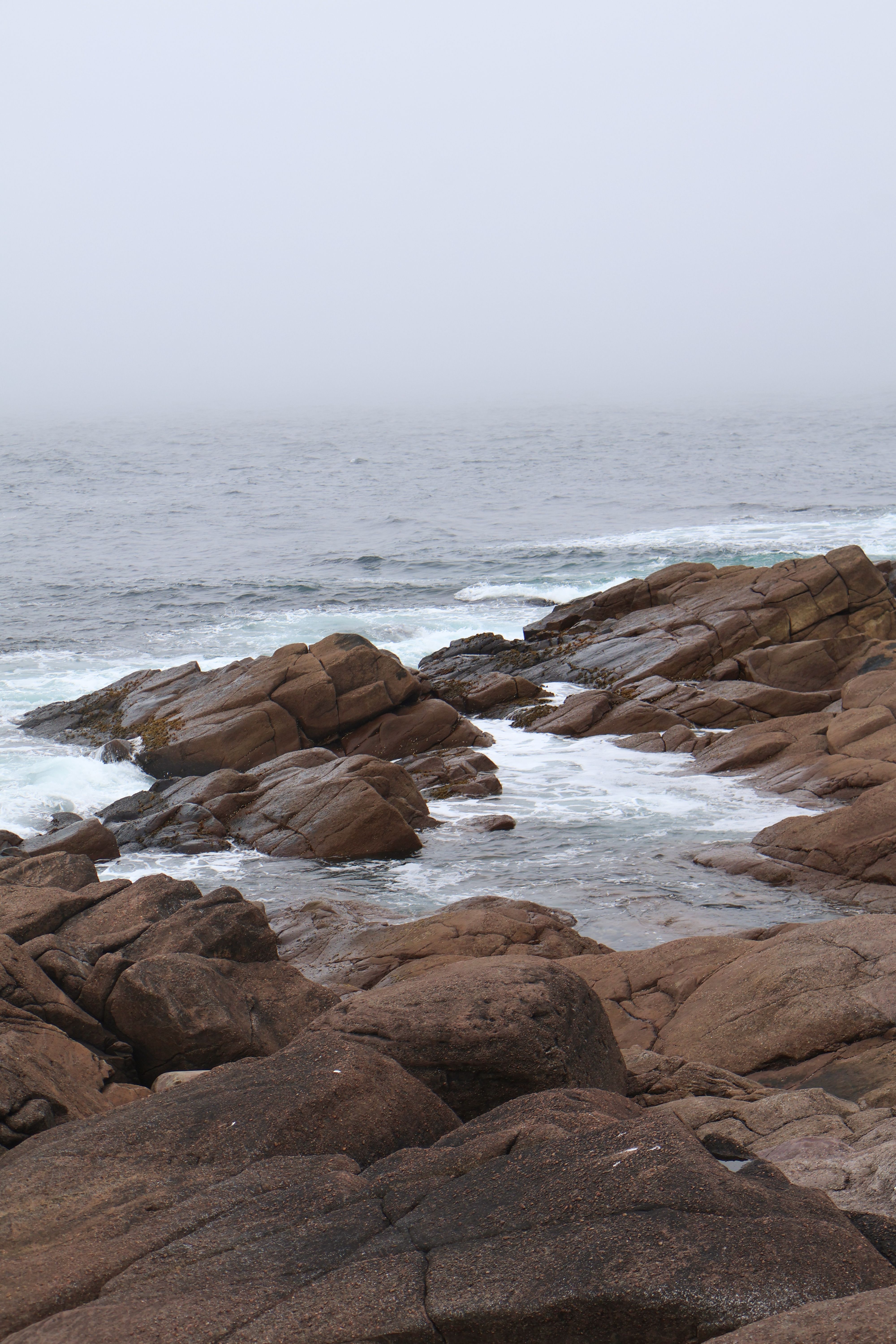 Fog envelops the rocky coast of St. John's, Newfoundland, creating a serene seascape.. envelops, rocky, coast