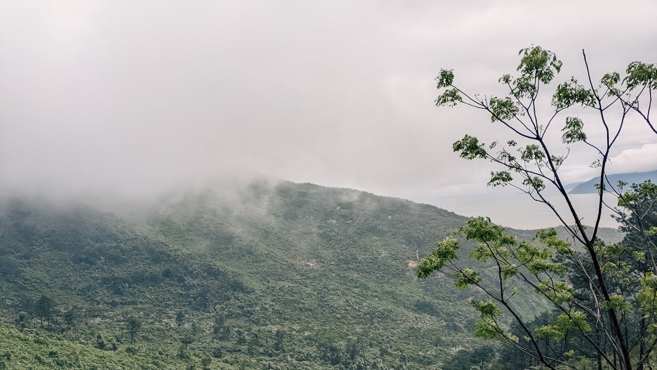 Hiểu về trái tim | Chương 35