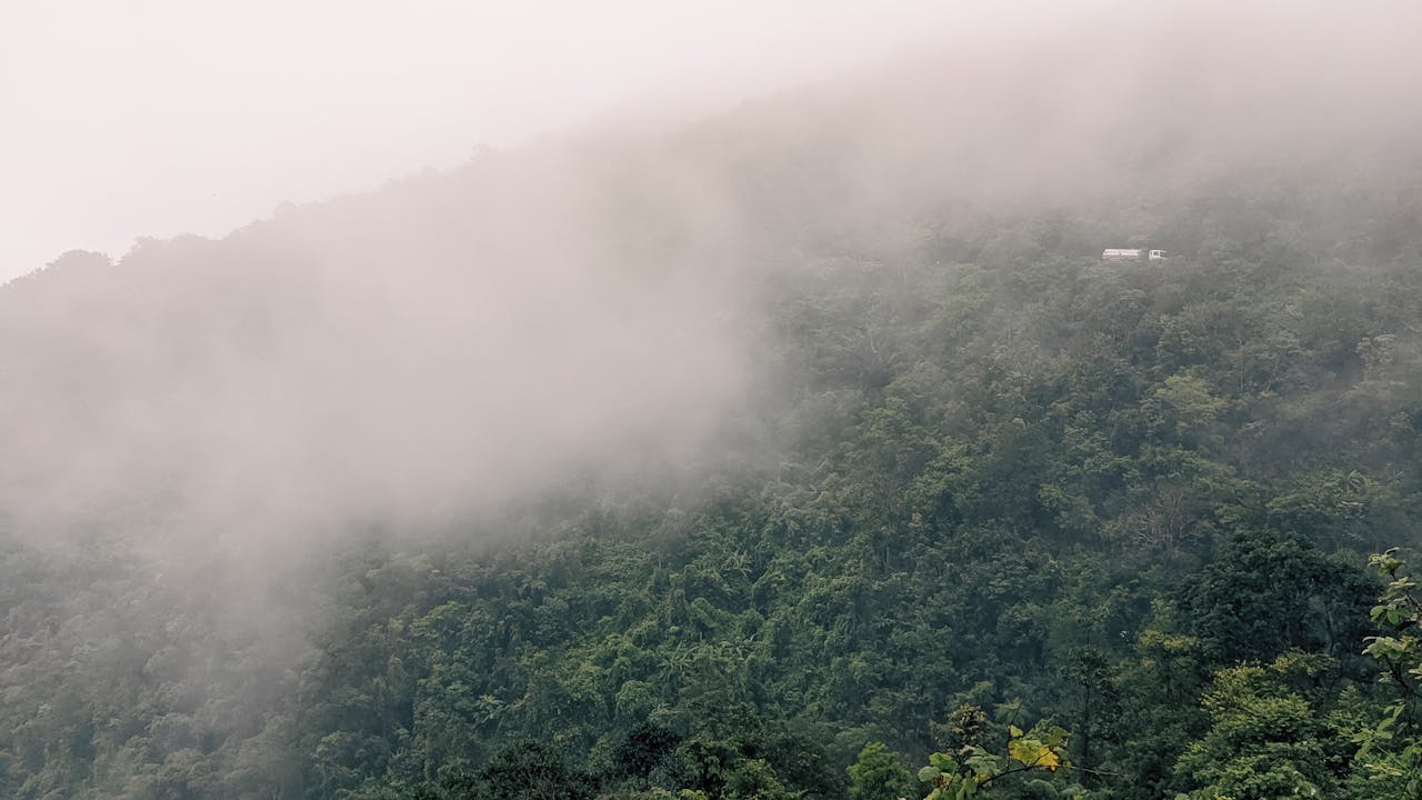 Bác sĩ Scotland kê đơn thiên nhiên cho bệnh nhân