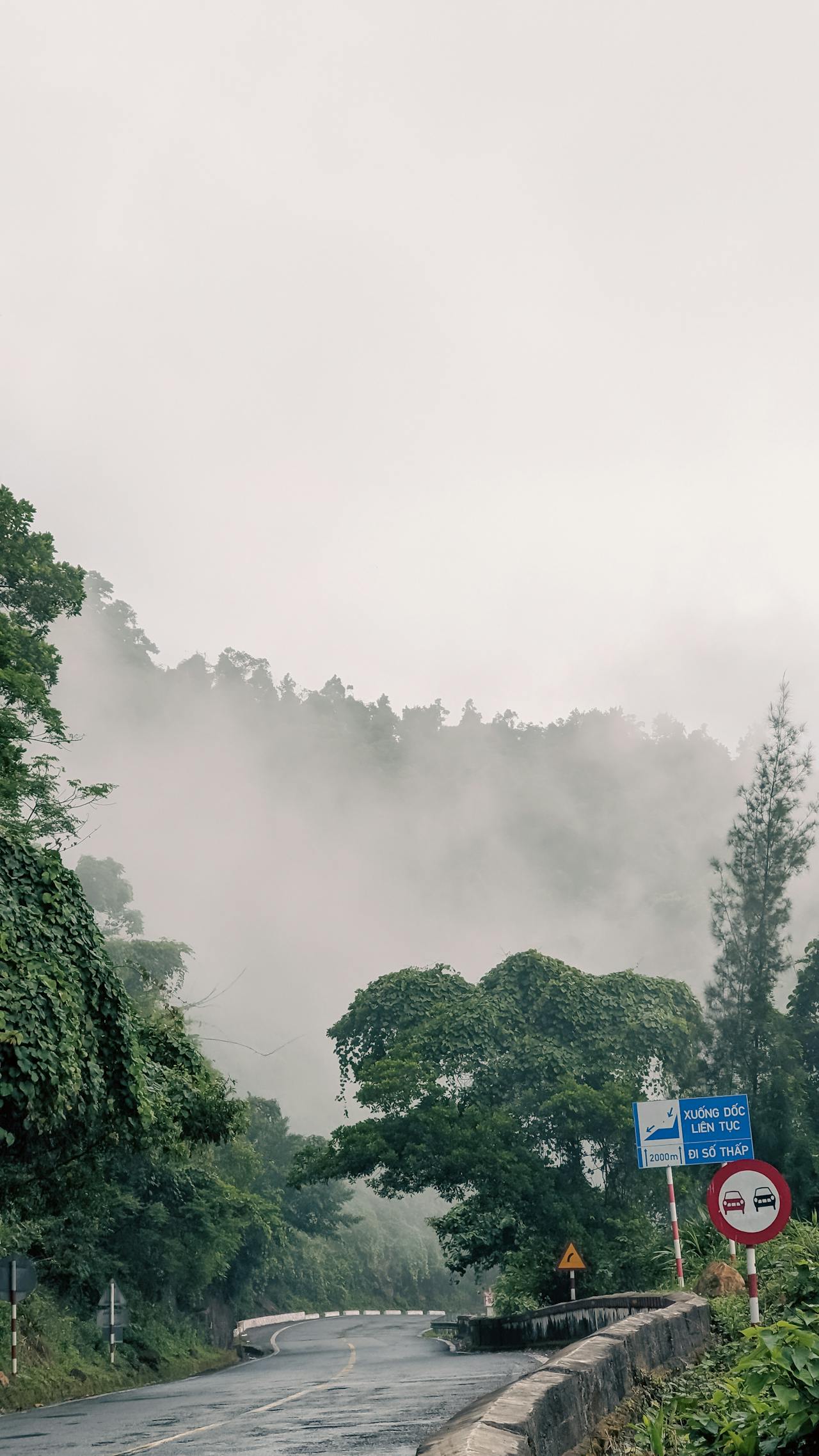 Nỗi sợ hối tiếc ảnh hưởng quyết định