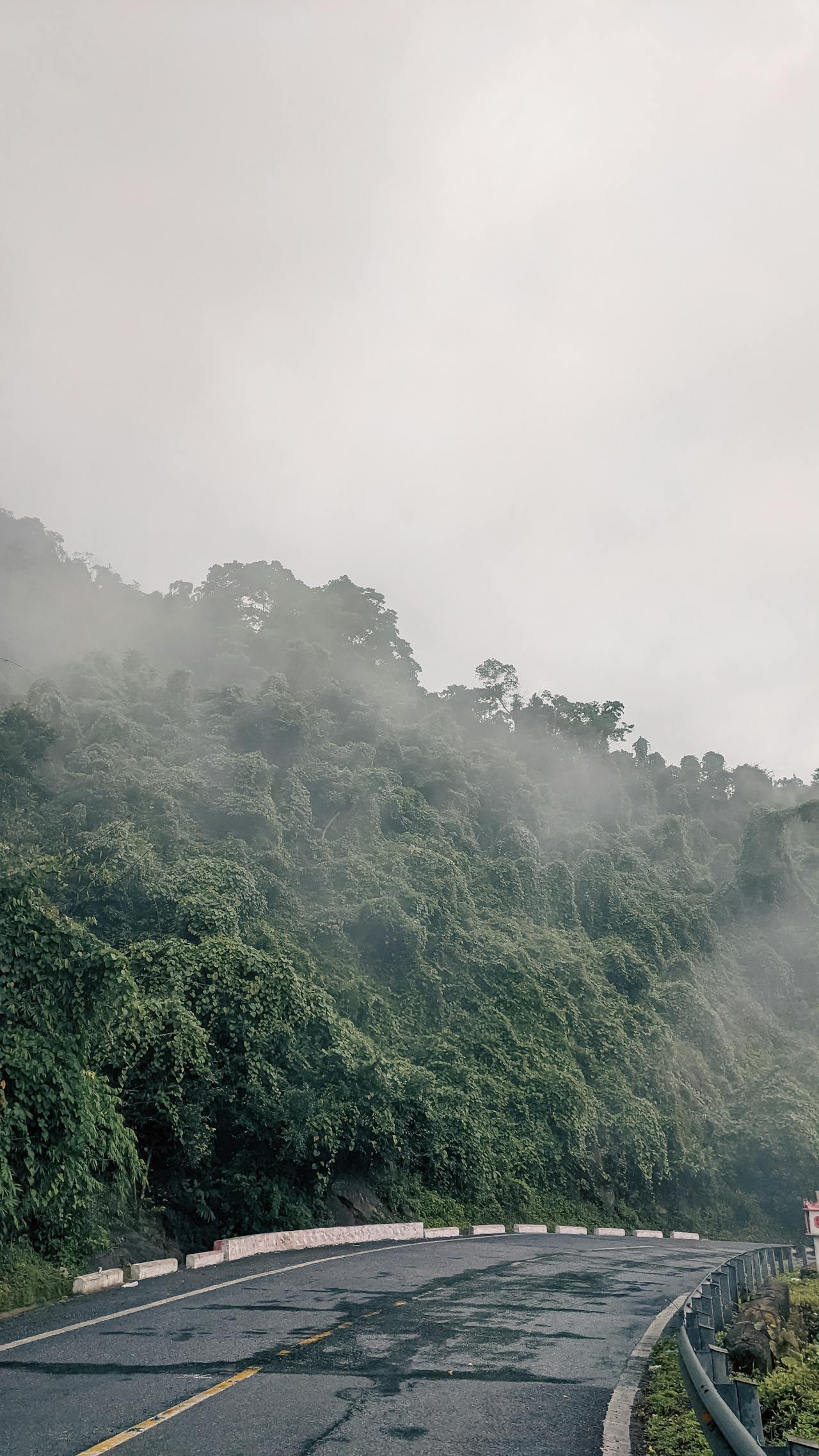 Bát chánh đạo (Noble Eightfold Path – 八正道) là gì?