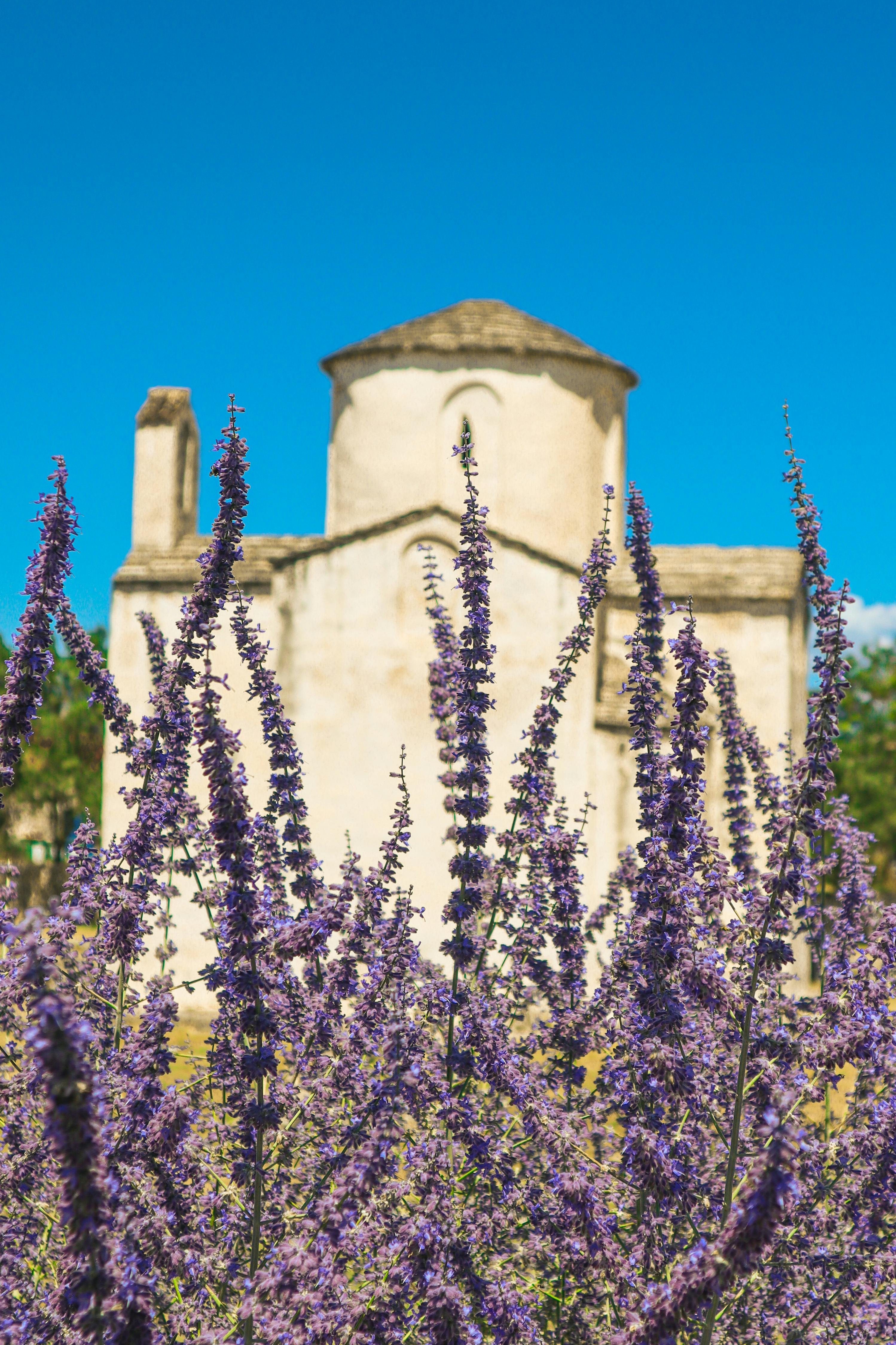 My Recommendations for Visiting Ljubljana: