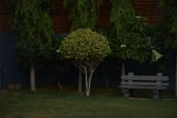 Serene Garden View in Thathampatti, Tamil Nadu