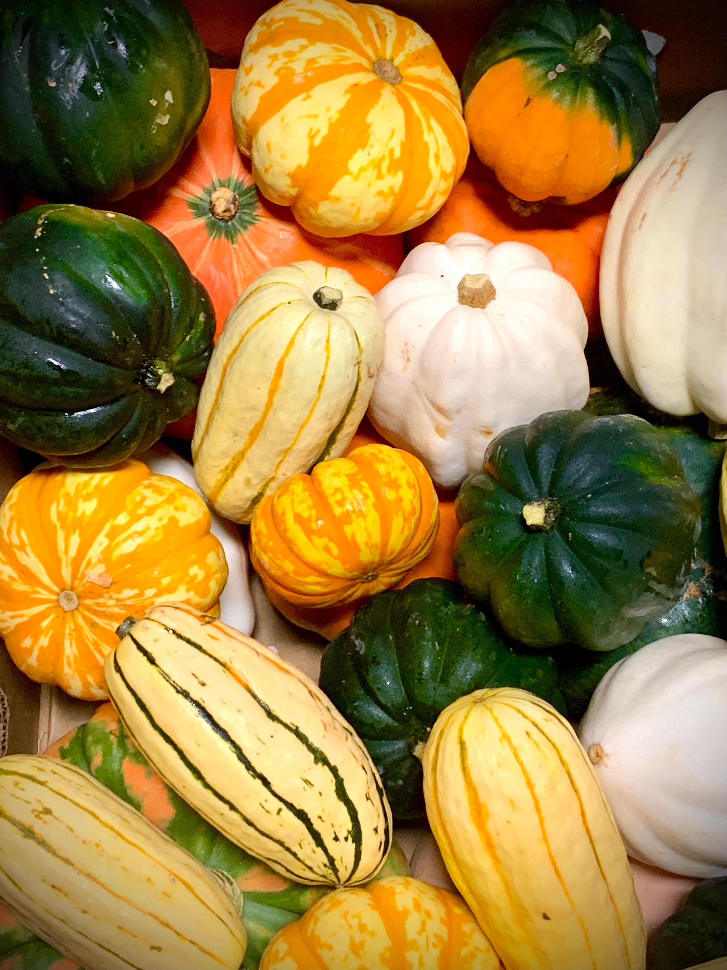 Squash Smoking